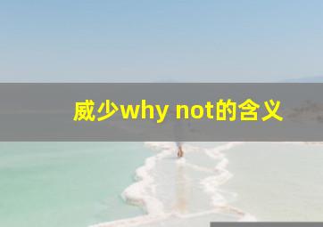 威少why not的含义